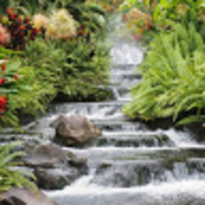 Meet your Posher, Echo